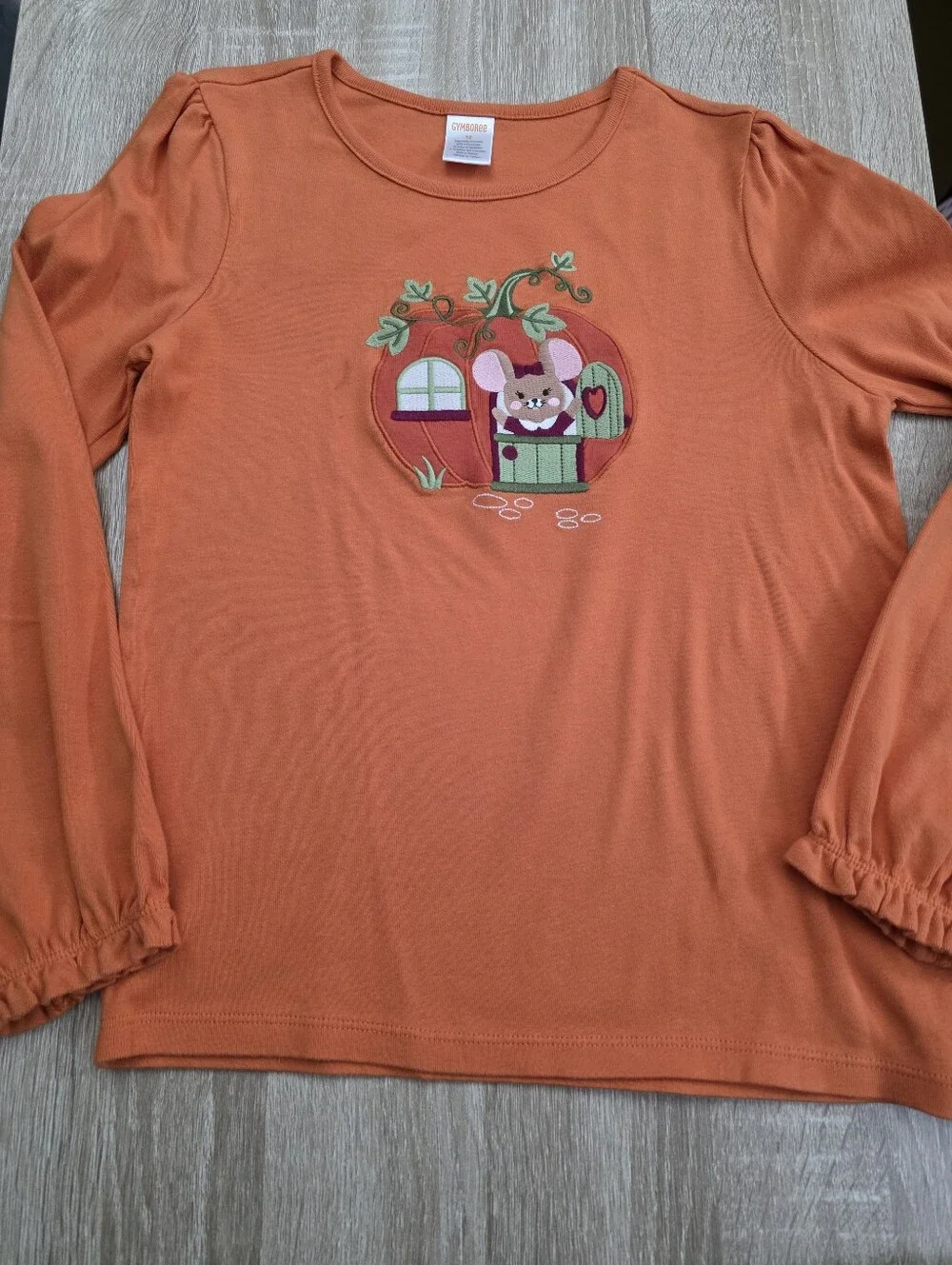 Gymboree Girls Orange Long-Sleeve Pumpkin Mouse Applique Tee Size 12